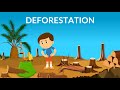 Deforestation | Causes, Effects & Solutions | Video for Kids