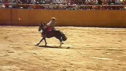 Linda Gower gan la rienda en Horcn
