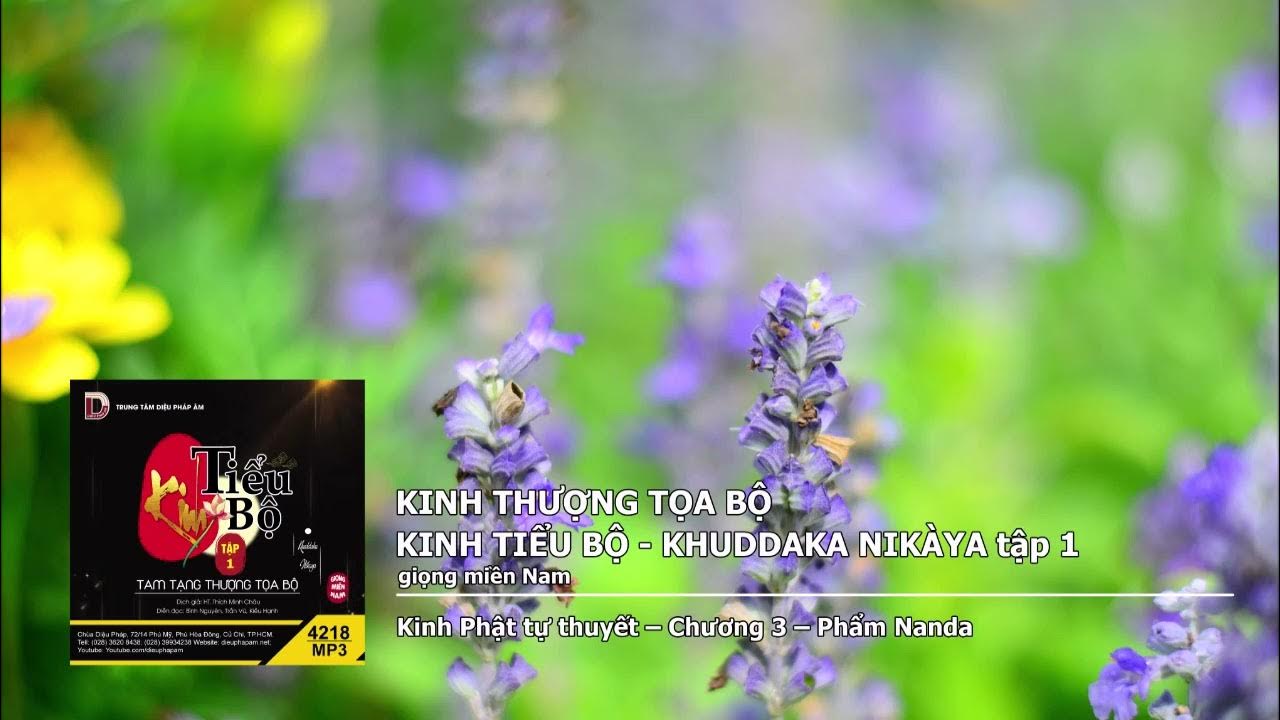 Tập 1 – K.Phật tự thuyết – Chương 3 – Phẩm Nanda giọng miền Nam- 