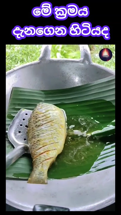 කෙසෙල් කොලේ හැමදේම රසයි 😆