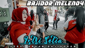 ISTRI SETIA VERSI BAJIDOR MELENOYY || TEAM GEBOYYY CANTIK BERAKSI
