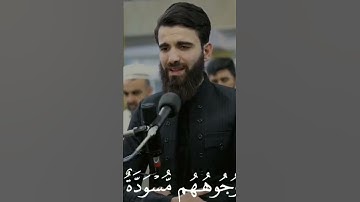 تلاوه خاشعة جدا🌱 راحه نفسيه🌱 الشيخ عبيدة موفق 🌱حالات واتس اب 🌱