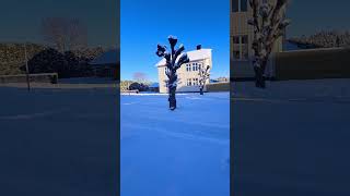 #snow #snowfall #snowing #winter #sweden #shortvideo #shorts #short