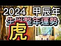 古柏論命 -  2024年甲辰年生肖整年運勢分享 – 虎