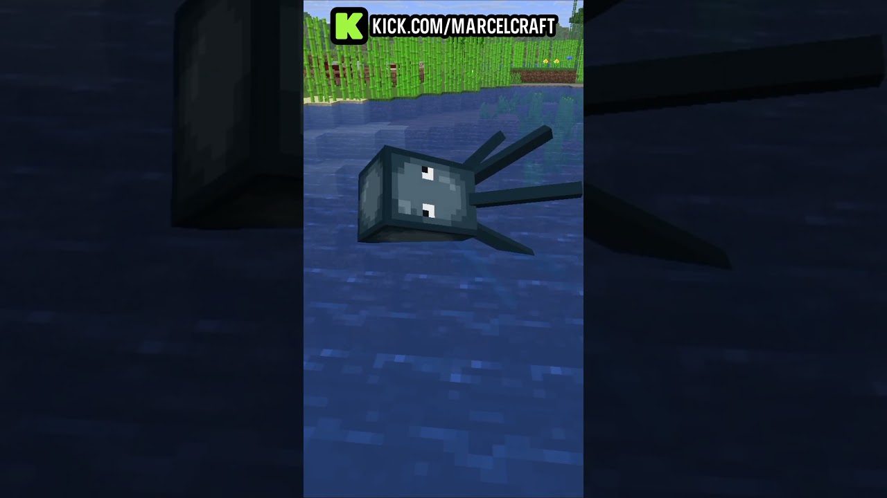 Squids in Minecraft Have a Strange Behavior