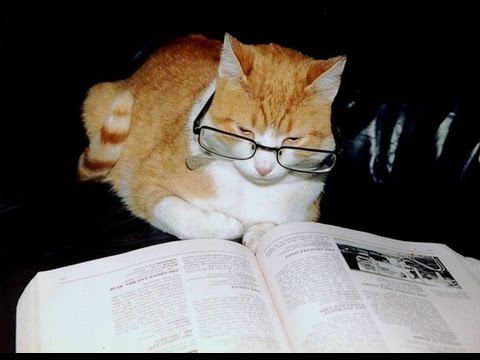 МХК. Интеллигенция. Искусственность.