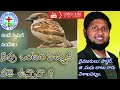 నీవు ఒంటరి పిచ్చుక వలే ఉన్నావా ?Are you like a lone sparrow?