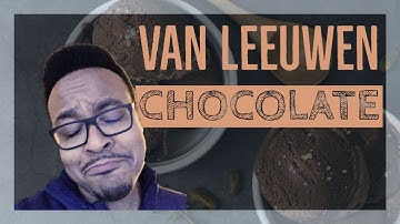 ice cream review - Van Leeuwen chocolate