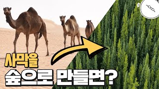 만약 사막을 테라포밍 하면 어떻게 될까? 숲이 될까? [미나니의 스낵교양]