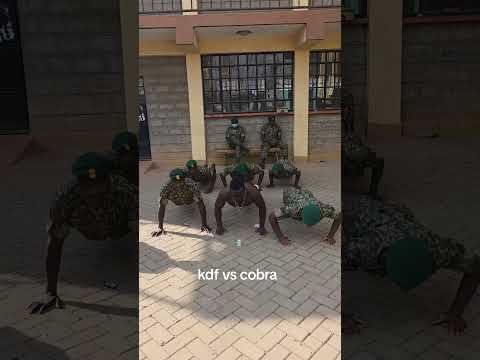 HAWA VIJANA WA NYS WAMETOSHA KUNYOROSHA ILE JESHI YA MUHOZI NA MAMA HAU SIO Shortsviral Fyp