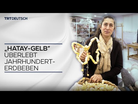 „Hatay-Gelb“ überlebt Jahrhundert-Erdbeben
