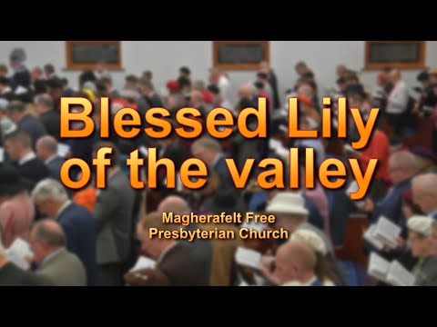 Video: Valley Lily Of The Valley-förgiftning - Symptom, Första Hjälpen, Behandling, Konsekvenser