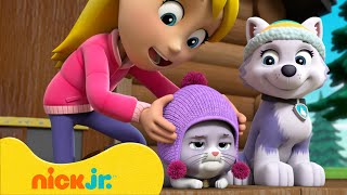 PAW Patrol | Kitten- en huisdierreddingen met Everest, Chase en meer! | Nick Jr. Nederlands