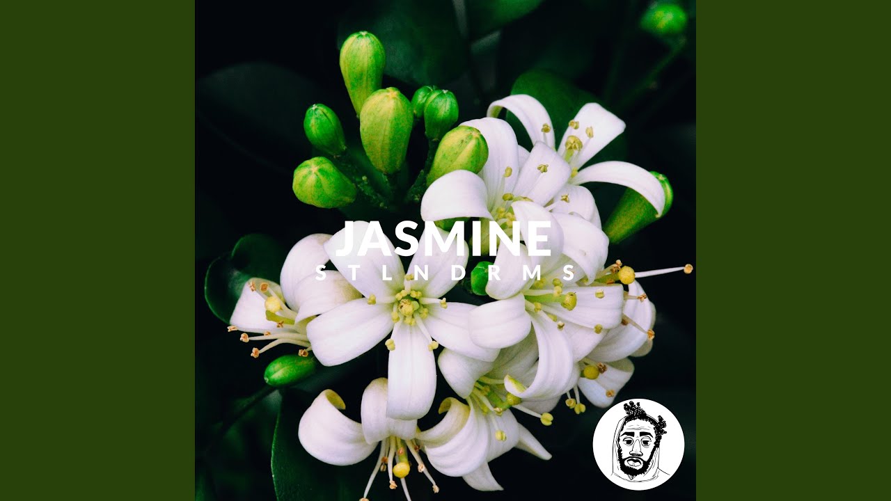 Guarda Jasmine su YouTube Guarda Jasmine su YouTube