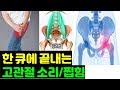 고관절 통증 해결! 중둔근 햄스트링 운동 - 고관절 소리 고관절 찝힘