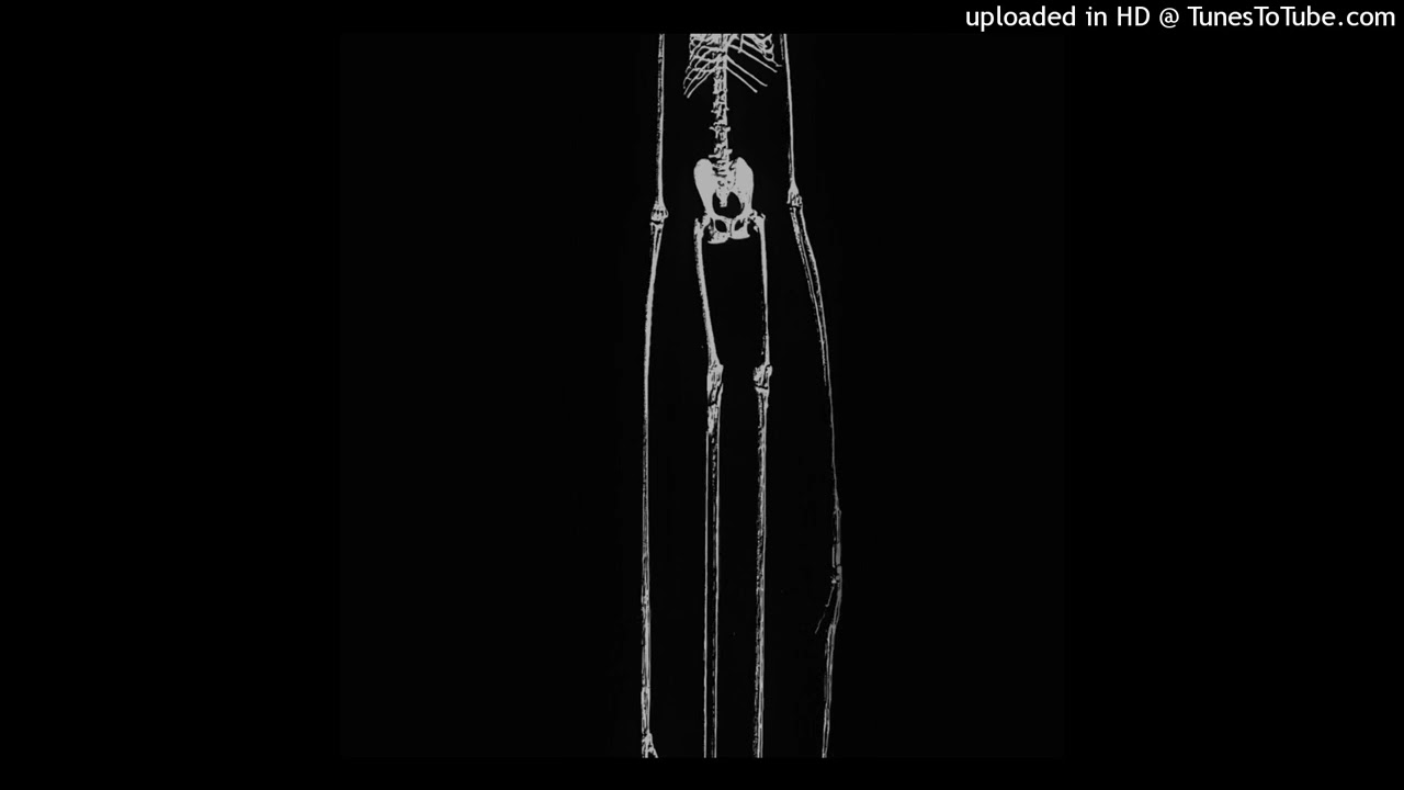 *free non profit* old warykid + takizava + umsy + experimental type beat - peresborka.kostey