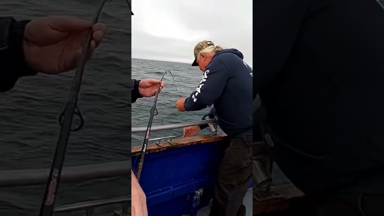 Captain Mike Playing Deckhand On The Umatilla II. 