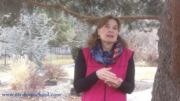 Daylight Savings Time 2013:Spring Ahead