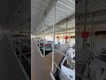 Fall Creek Marina In Branson Boating HGV Hilton Vacation Club Fall Creek Marina In Branson Boating HGV Hilton Vacation Club