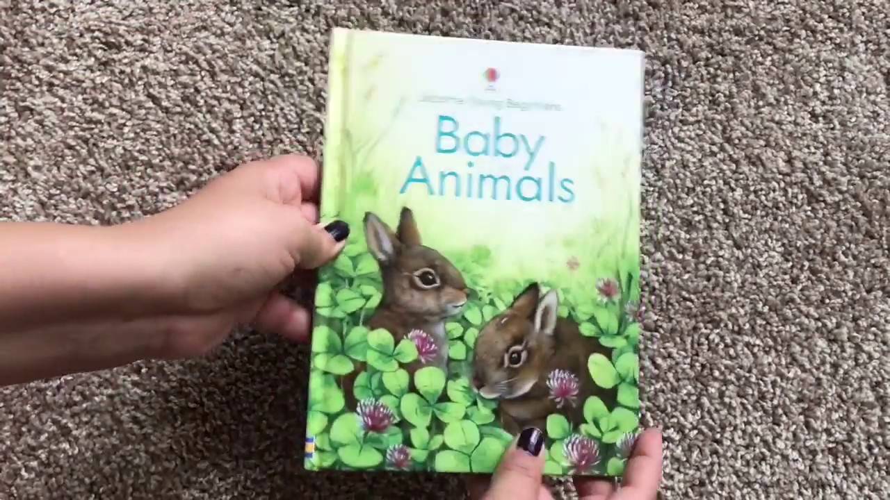 Baby Animals 🐅🐣🦁🐧 Usborne Books & More Young Beginners YouTube