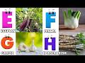 Vegetables ABC Song | Vegetables Alphabet Song | Phonics for Kids | Baby | Alphabet Letters