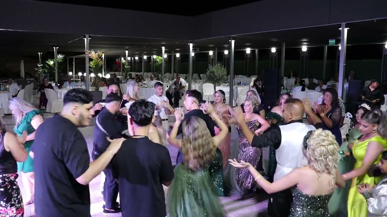 ROMAN BRANT SUNET TORENI No 2