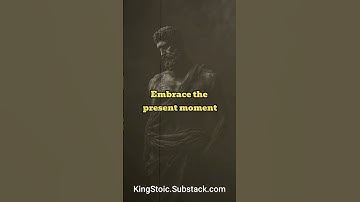The Art of Acceptance Stoic Strategies for Dealing with Uncertainty  #stoicresilience #stoic