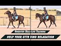 Helping Your OTTB Horse To Find Relaxation Under Saddle