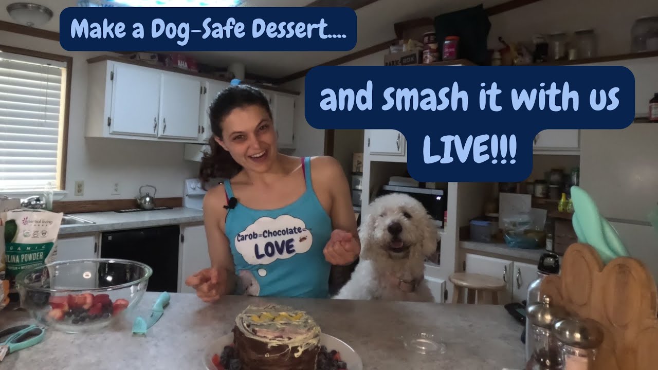 Picture Idea: Giant Dog Safe Chocolate Easter Egg Giant Easter Egg Treat