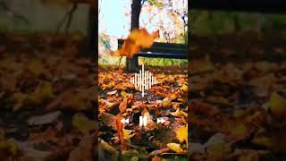 Whatsapp Instagram Durum Videoları