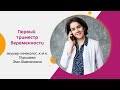 Первый триместр беременности. Эфир с гинекологом