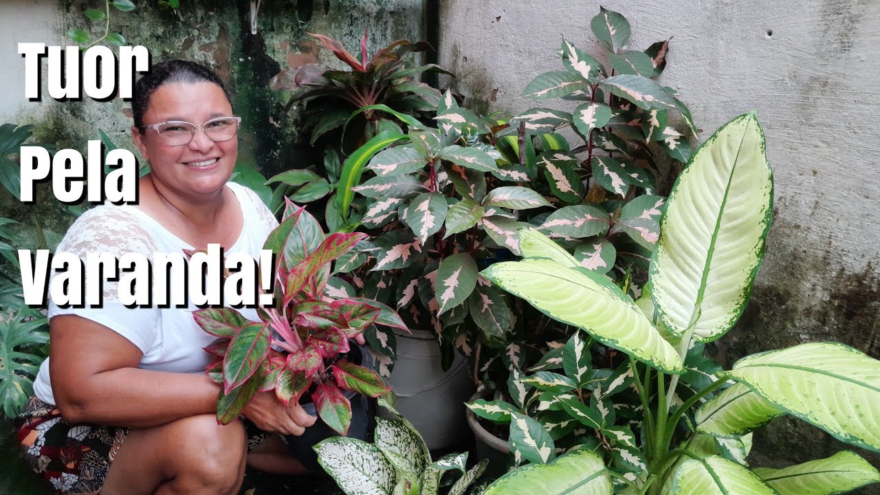 Mais Um Tuor Atualizado Pelas Plantas da Minha Varanda!