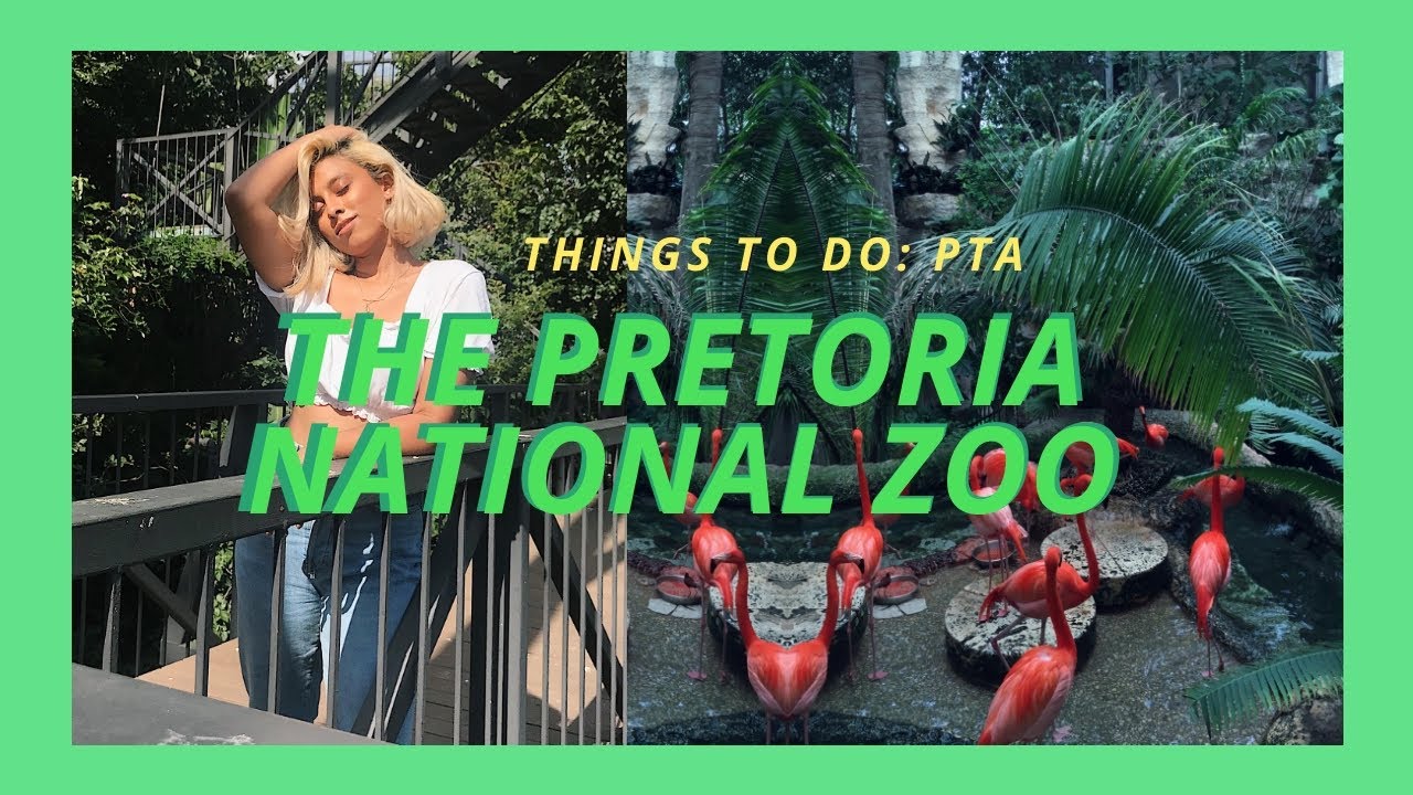 things-to-do-pta-the-zoo-youtube
