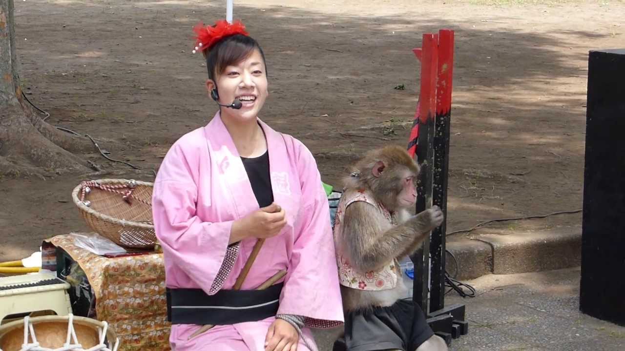猿回し - 府中市郷土の森 （TZ40-Full HD）
