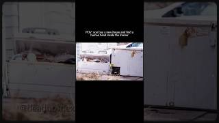 Amanda Overstreet Homicide Case