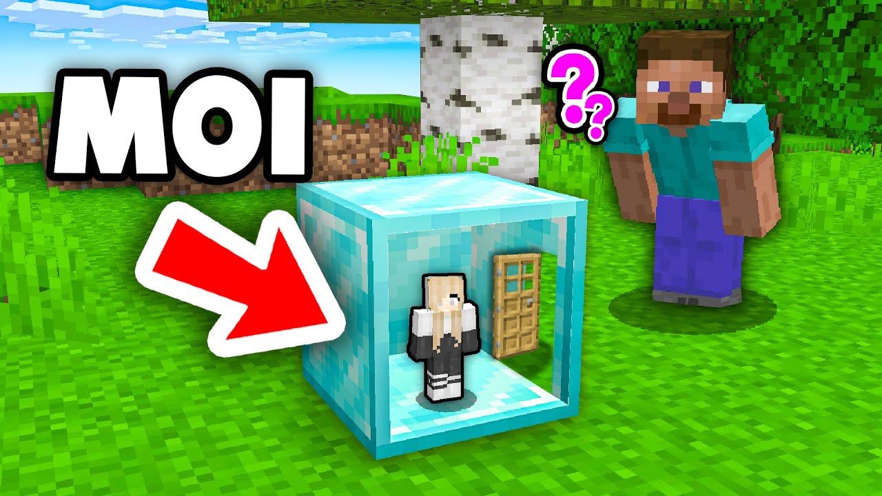 Je peux Rentrer dans TOUT les Blocs de Minecraft ! (réaliste)