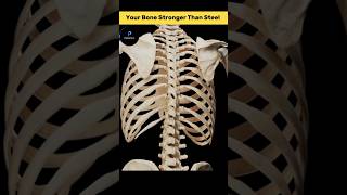 Did You Know Your Bones Are Tougher Than Steel #vikramsarkar