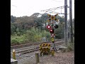 森の中の踏切 #shorts