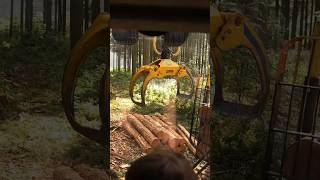 Cab view JOHN DEERE 1910G forwarder | #johndeere #logging #forestry