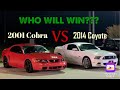 2001 Mustang Cobra Drag Races 2014 5.0 Coyote Mustang CLOSE RACE