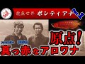 [前編]紅龍の原点！アジアアロワナ専門店『龍魚世界ポンティアナ』ショップ訪問『ウルトラレッドの始まりの話』　『ポンティアナ編Part１』