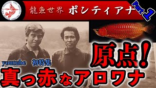 [前編]紅龍の原点！アジアアロワナ専門店『龍魚世界ポンティアナ』ショップ訪問『ウルトラレッドの始まりの話』　『ポンティアナ編Part１』