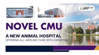 NOVEL CMU: A New Animal Hospital Offering All-around Care with Expertise screenshot 2