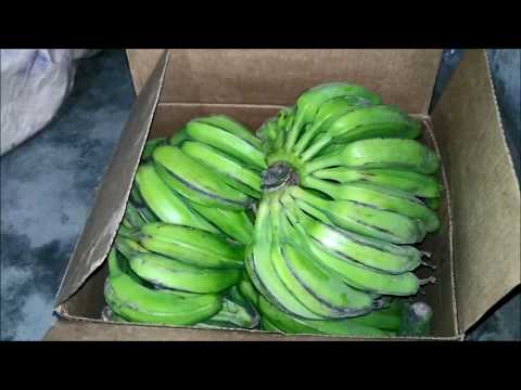 | گھر پر کچے کیلے پکانے کا طریکا | كوك الموز في المنزل | fruit farming in pakistan |