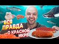 Вся правда о красной ИКРЕ! Лучший обзор. Шеф Жарит