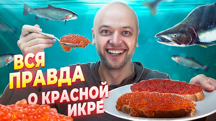 Вся правда о красной ИКРЕ! Лучший обзор. Шеф Жарит