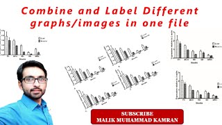 How to combine different image and graphs into one image/graph and lebel them Wealth
