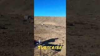 Tannerite(Explosive Targets)AR15#Goldie#explosive #ar15 #Tannerite#subscribe #909Gunna