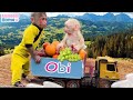Smart BiBi helps dad harvest fruit in the garden for baby monkey Obi