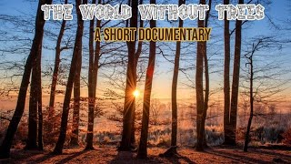 THE WORLD WITHOUT TREES | A SHORT DOCUMENTARY